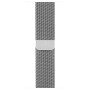 Смарт-часы Apple Watch S2 38mm St.St/SilvMilanese Loop (MNP62RU/A) купити від ділера Apple